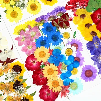 1 pakelis Džiovintų Gėlių UV Dervos Dekoratyvinių Natūralių Gėlių Lipdukai 3D Sausas Grožio Decal Epoksidinės Pelėsių 