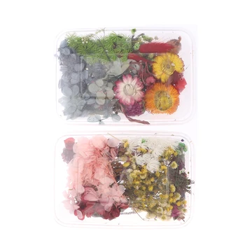 1Box Džiovintų Gėlių, Lapų UV Dervos Apdailos Natūralių Gėlių Lipdukas 3D Sausas Grožio Nagų Dailės Lipdukai Epoksidinės Pelėsių 