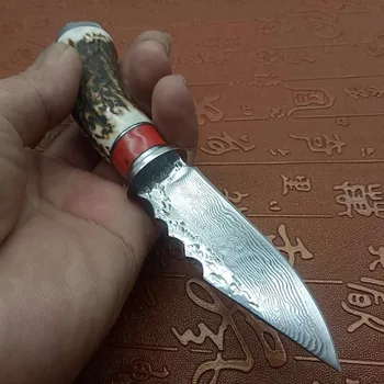 Aštrių mini Damasko plieno peilis žuvies peilis EDC įrankis fiksuotu Ragai tiesus peilis aukšto kietumo lauko išgyvenimo kempingas įrankis