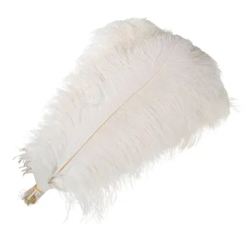 Didmeninė 55-60cm stručio plunksnų amatų vestuves prekių Karnavalo šokėjas apdailos plumas, 