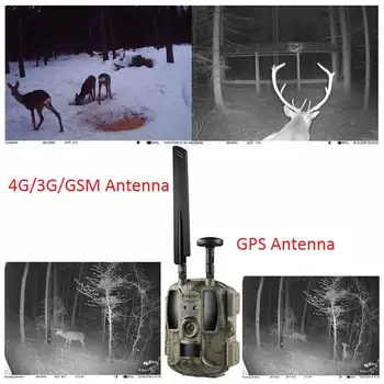 Korinio ryšio Medžioklės Takas Kamera Remti 4G 3G 2G Tinklas, 950nm Nematomas 12MP Jutiklis IP66 MMS El. paštas FTP APP 