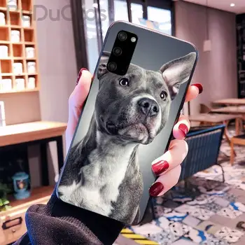 Reall Pit Bull šunelis Pitbull Telefono dėklas Samsung Galaxy S10 Plius S10E S6 S7 krašto S8 S9 Plus S10lite S20 Plus Ultra S20