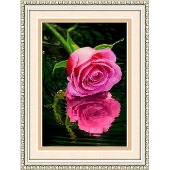 Rožinė Rožė, Gėlių 5D 