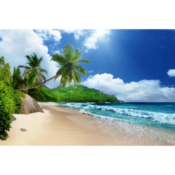 Vasarą Pajūrio Paplūdimys, Jūra, Palmės Debesis Dangaus Peizažas Baby Shower Gimtadienio Fone Vinilo Fotografijos Fone Fotostudija